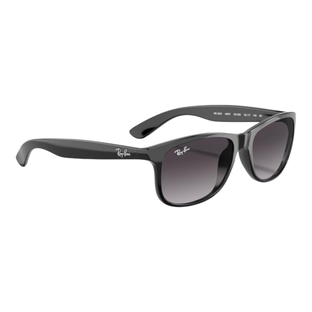 Ray-Ban - RB4202 Andy - Pistilleria