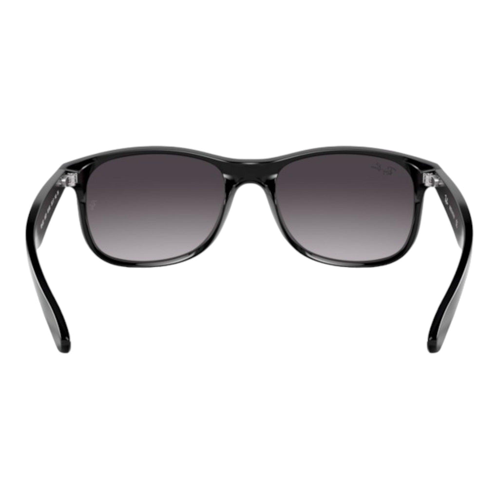 Ray-Ban - RB4202 Andy - Pistilleria