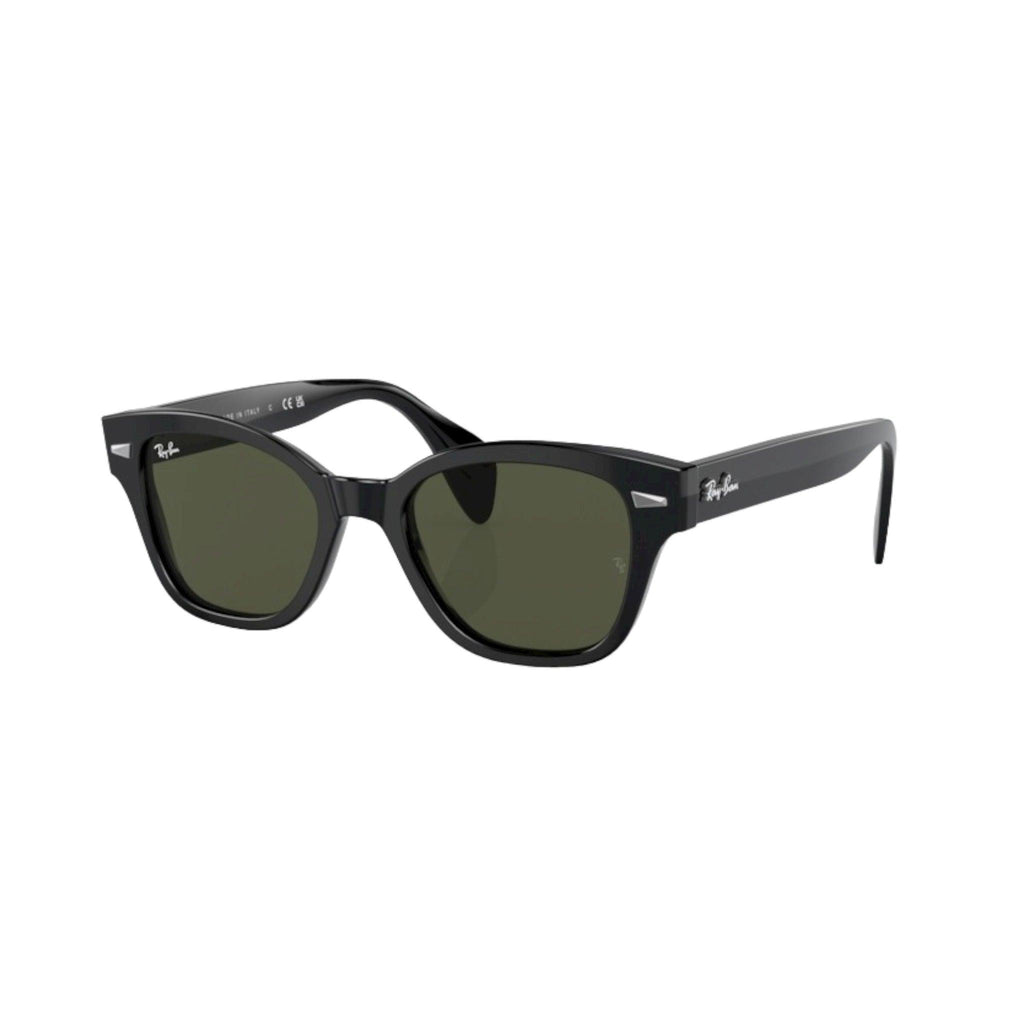 Ray Ban RB0880S-901/31 - Pistilleria