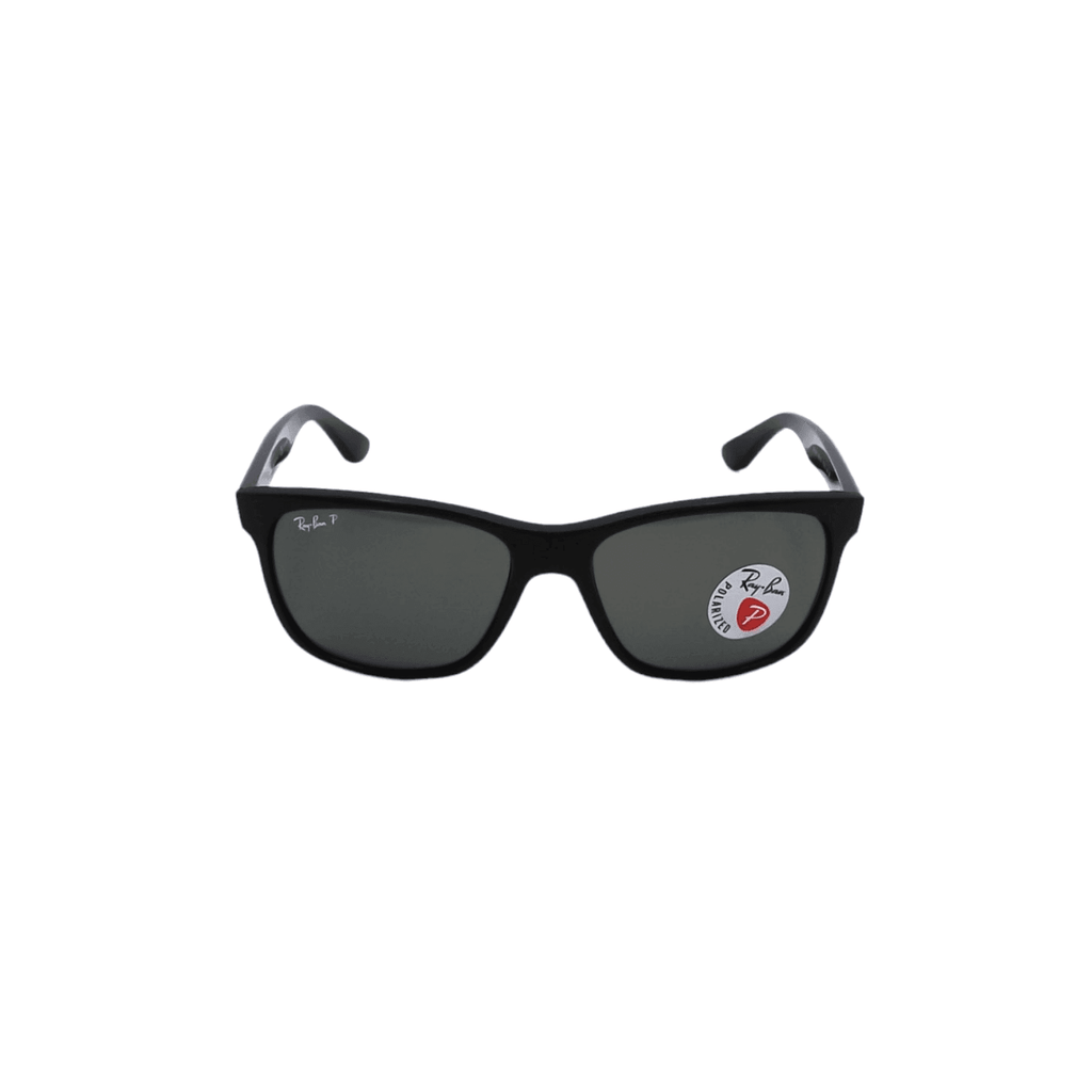 Ray-Ban - RB4181 Polarizzato - Pistilleria